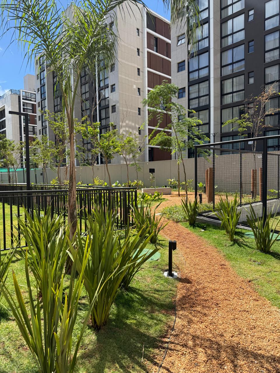 FIRENZE-ATU-JANEIRO-26-4