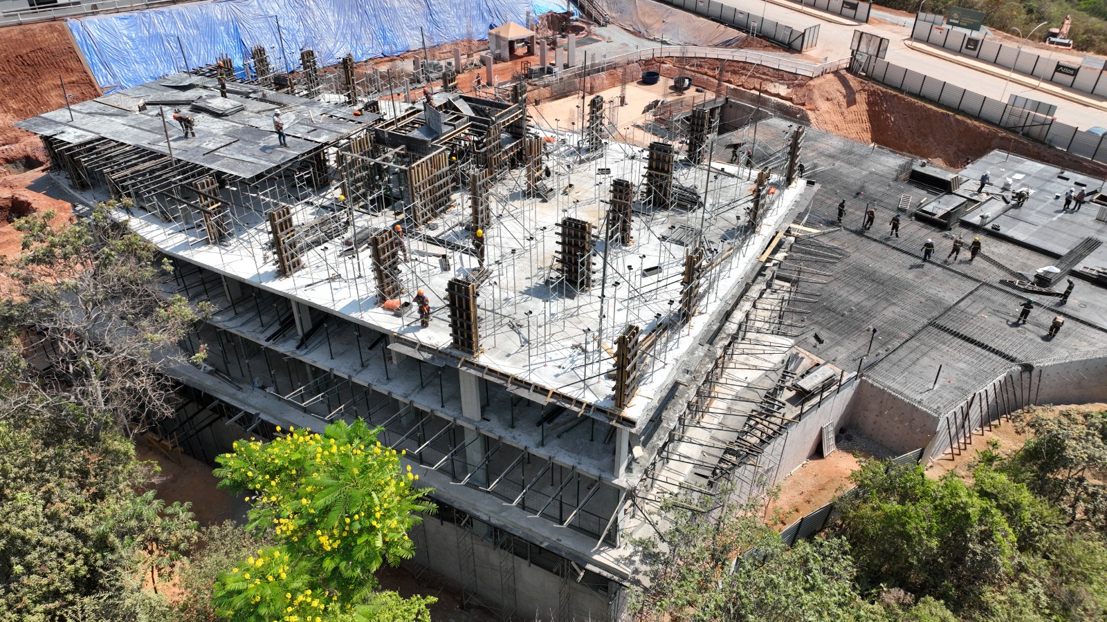 ORQUIDEAS-ATU-OUTUBRO-25-1