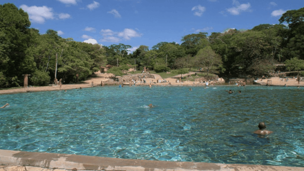 Cerrado conheca 3 locais com o bioma proximo a Brasilia