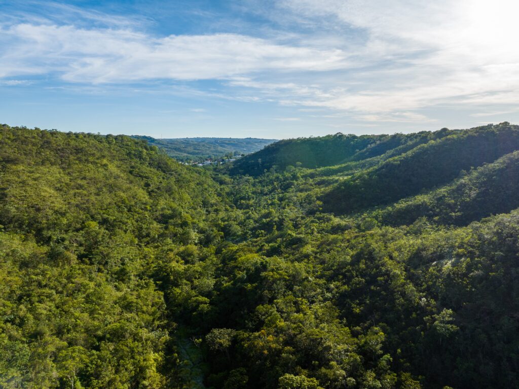 Copia de DJI 0648 HDR